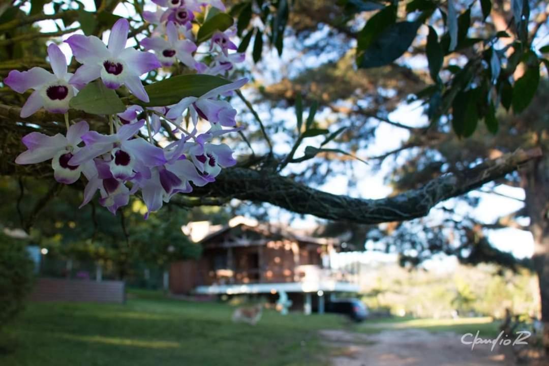 Linda Casa De Campo Viamão Esterno foto