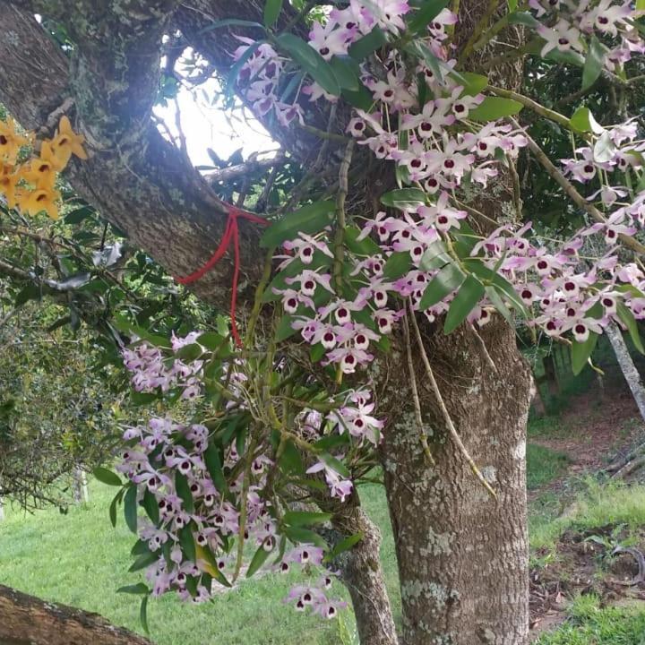 Linda Casa De Campo Viamão Esterno foto